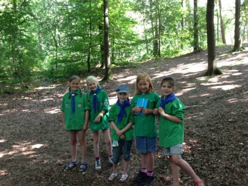 Zomerkamp