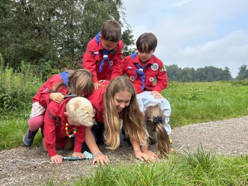 Samenwerken