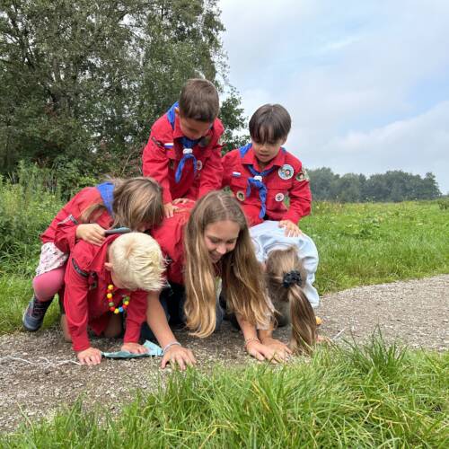 Samenwerken