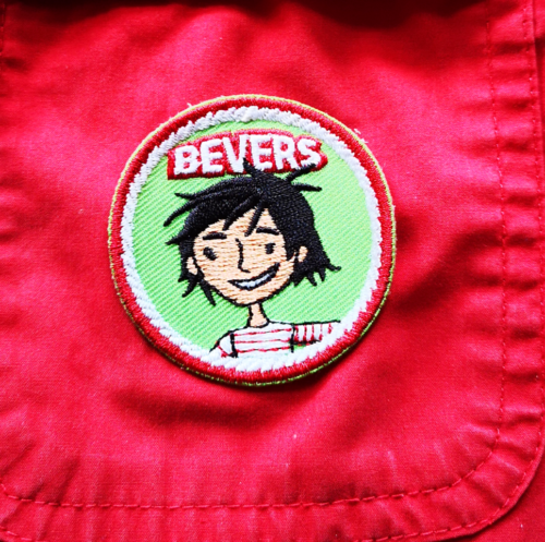 Speltakteken bevers